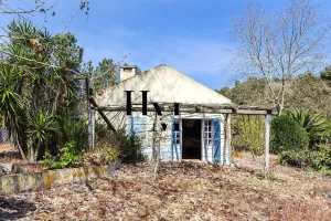 Finca en Azambuja