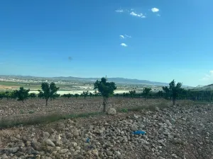 FINCA EN ALHAMA DE MURCIA