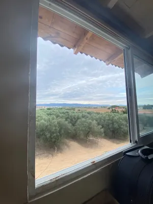 Finca rústica con casa, piscina y olivos