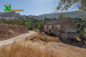 Terreno RÚSTICO con cortijo en Cogollos Vega