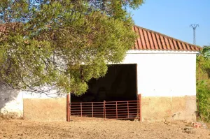 Finca Ganadera De 800ha Cerca De Cáceres