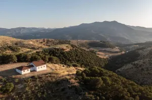 Finca Ganadera Con Alojamiento Turistico