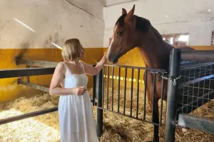 FINCA GANADERA DE 700HA EN EL NORESTE DE CÁCE