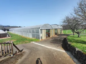 explotación agrícola en Llanera