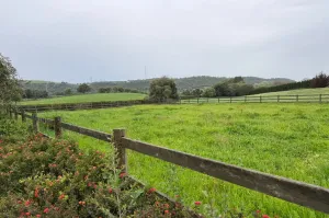 FINCA ECUESTRE CERCA DE VERJER DE LA FRONTERA