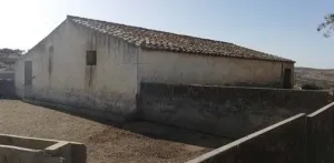 Dehesa Tamujoso | 650 ha de dehesa productiva con explotación ganadera y cinegética en Huelva