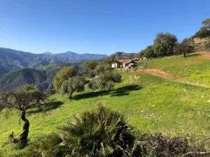 Finca en Alora