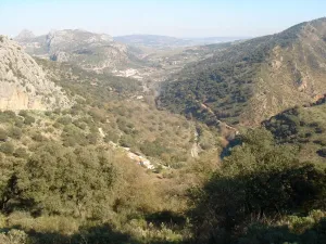 Finca en Benaojan