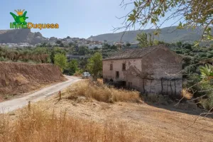 Terreno RÚSTICO con cortijo en Cogollos Vega