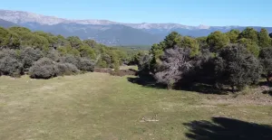 Finca rústica en pleno Valle del Tiétar