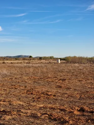 Finca regadío 10 hectáreas en Valencia