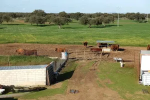 FINCA AGROGANADERA A 30KM DE BADAJOZ