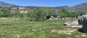 Madrid ref 1499 Fincas Rusticas Gilmar