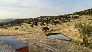 Propriedade de lazer com exploração agrícola e pecuária
