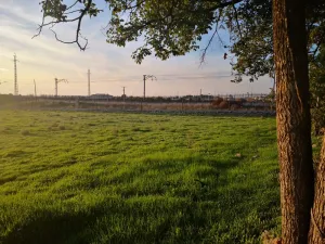 Finca 2 Hectares, pozo y luz, cerca Daimiel