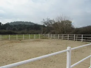 FINCA HIPICA Y DE RECREO EN SEVILLA - 1353