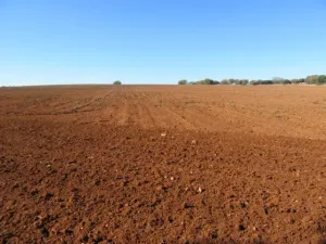 FINCA DE LABOR Y CAZA MENOR EN CIUDAD REAL