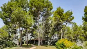 Finca de recreo con un chalet en Alicante