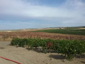 OPORTUNIDAD VENTA DE GRAN FINCA DE REGADIO