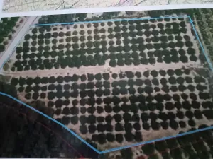 Propriedade rural com 6047 metros quadrados