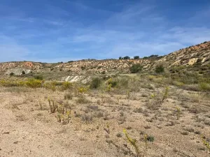 🌞 ¡OPORTUNIDAD INVERSORES EN ENERÍA SOLAR