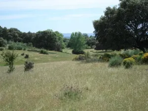 Finca de recreo en venta en Jaraíz de la Vera