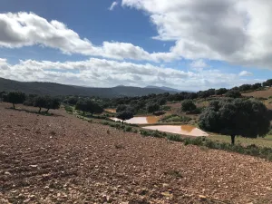 FINCA GANADERA , AGRICOLA Y CINEGETICA