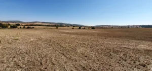 Se vende parcela de 11ha regadío y 6ha secano