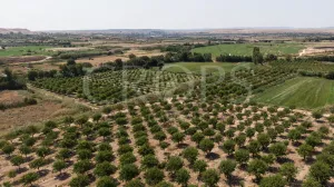 Finca de regadío en la provincia de Teruel