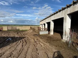 Se alquila finca con cebadero con licencia