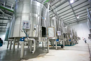 Bodega Vivanza