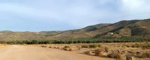 Gran finca con opciones diversas en Almería