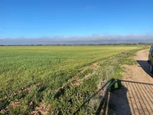 Finca de 550 hectáreas en Toledo