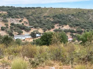 Finca 303 Has en Ciudad Rodrigo-Fotovoltaico