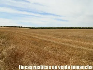 finca en venta 220 has. labor-secano-riego