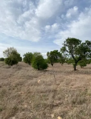 Terreno 3,5Ha en Sonseca (Toledo)