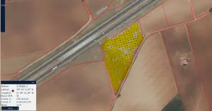 Parcela de olivos de secano de 13.831 m2