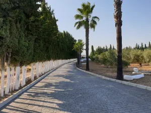 4. Finca premium en plena Costa del Sol