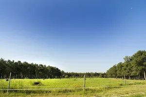 FINCA DE RECREO CON INSTALACIONES ECUESTRES