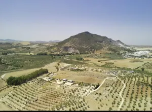 Venta de finca en Moron de la Frontera