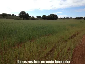 finca en venta 186 has. labor caza menor