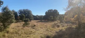 Finca con naves abandonadas en Burgos