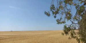 Finca rústica de 110 hetáreas