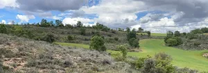 Fincas rústicas en Fuentelencina