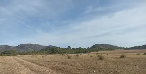 Finca rústica en Tobarra