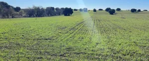 Fincas rústicas en Anchuelo