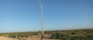 Finca en venta de 9 ha en Tomelloso