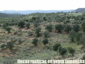 finca en venta 216 has. Recreo Ganadera