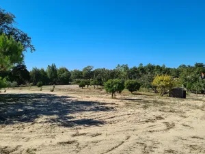 Finca en Melides Grândola , Setúbal Portugal