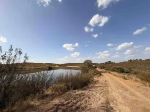 Finca de 150 hectáreas con derechos de riego